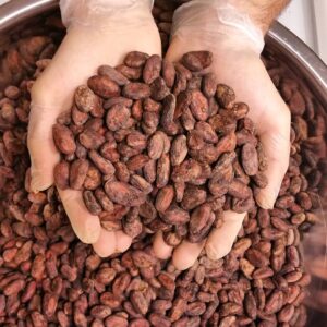 cocoa-seeds-1